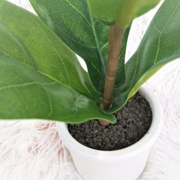 NWT 2pk Artificial Fiddle-Leaf Plant Ceramic Pot - Picture 4 of 7